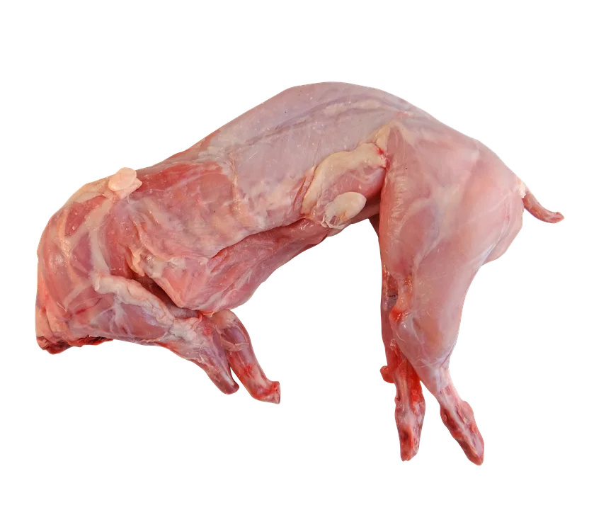 Hot SALES Frozen Rabbit Meat