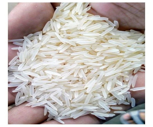 rice1.jpg
