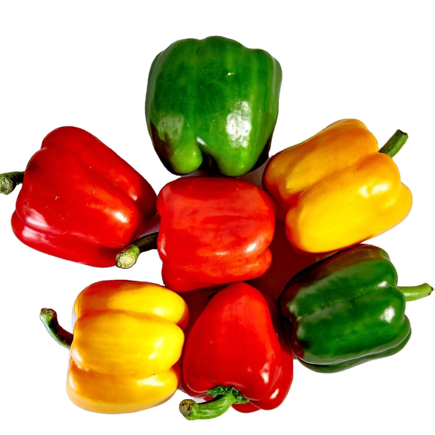 Green Farmer Household Supply  Vegetables Fresh Capsicum Bell Pepper Spicy Light Sweet For Cooking Spices High Quality Standard