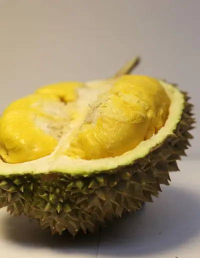 FROZEN DURIAN - NATURAL RIPE FOR FROZEN - PREMIUM WHOLESALER VERY FAT SWEET