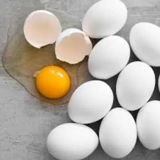 High Quality Fresh Table Eggs and Non - Fertile Eggs Cheap Price from India With Best Custom Packing products