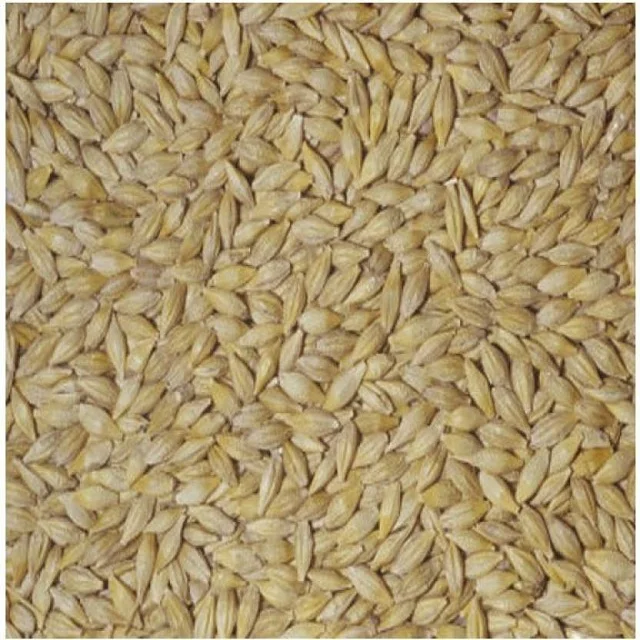 Barley Grains Premium Barley Seeds/Animal feed barley/bulk barley grains Malted Barley Malt grain for sale Top Grade