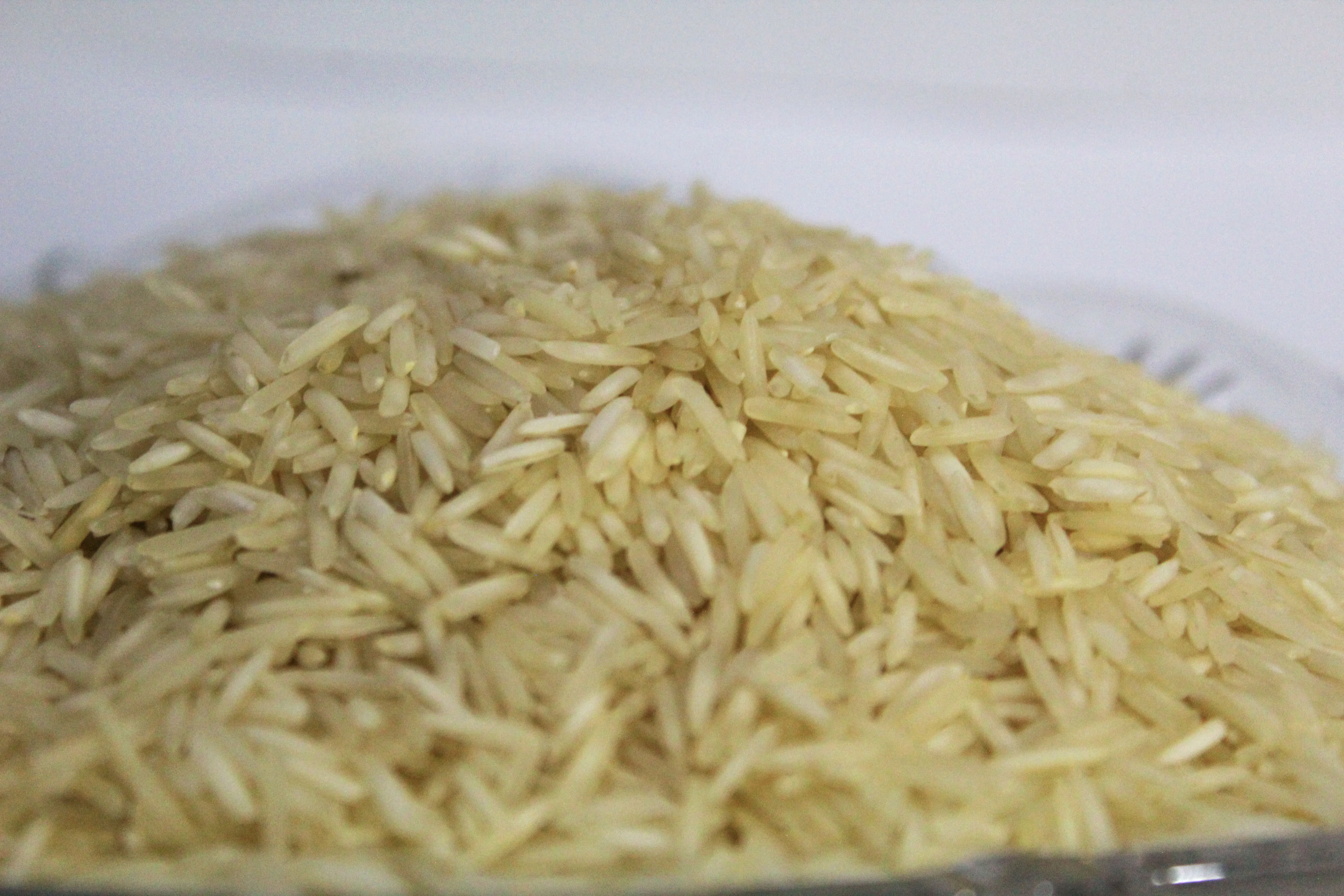 Rice Basmati from Pakistan Imported High Quality of Wholesale Basmati by Foodies (PVT.) Limited