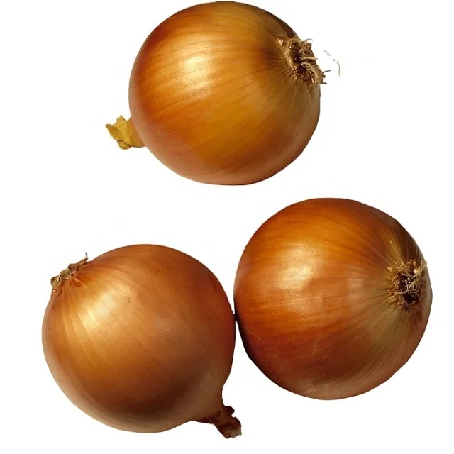 France fresh red onion yellow onion 2022 crop new arrival