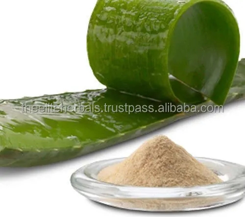 High Quality Aloe Ferox Mill Aloe Vera Extract Aloin powder