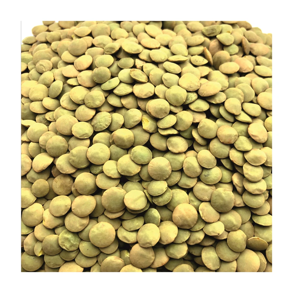 Green lentils grade a top quality green lentils price from Canada