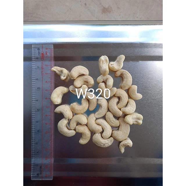 Wholesale High Quality Raw White Cashew Nuts With Best Price All Size W180 W240 W320 Made In Vietnam