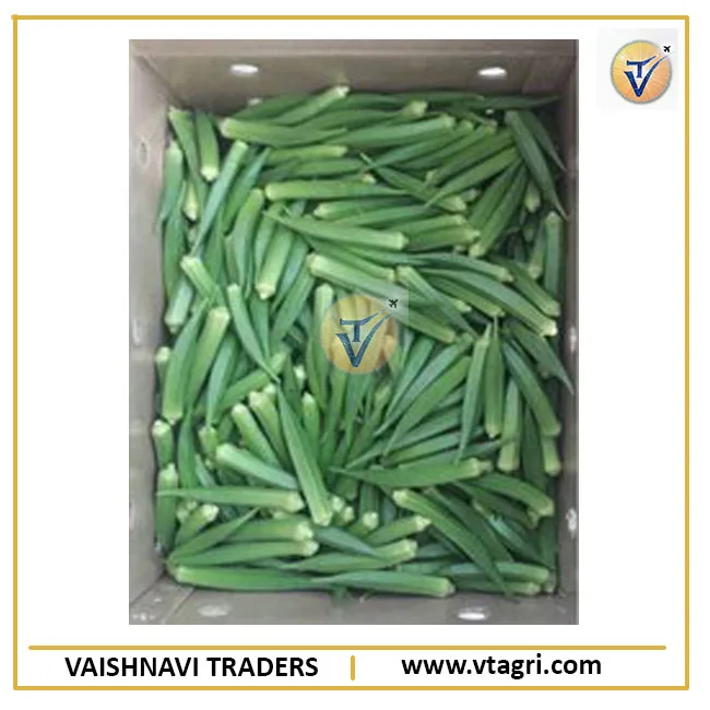 Green Indian Fresh Okra - Fresh Indian Lady Finger - Green Lady finger - Fresh Okra supplier