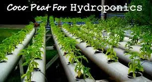 Идеальный выбор для гидропоники, сельское хозяйство, индонезийское агрокрыло, сад и ферма, спасение и безопасное изменение жизни фермеров, мы стали лучше