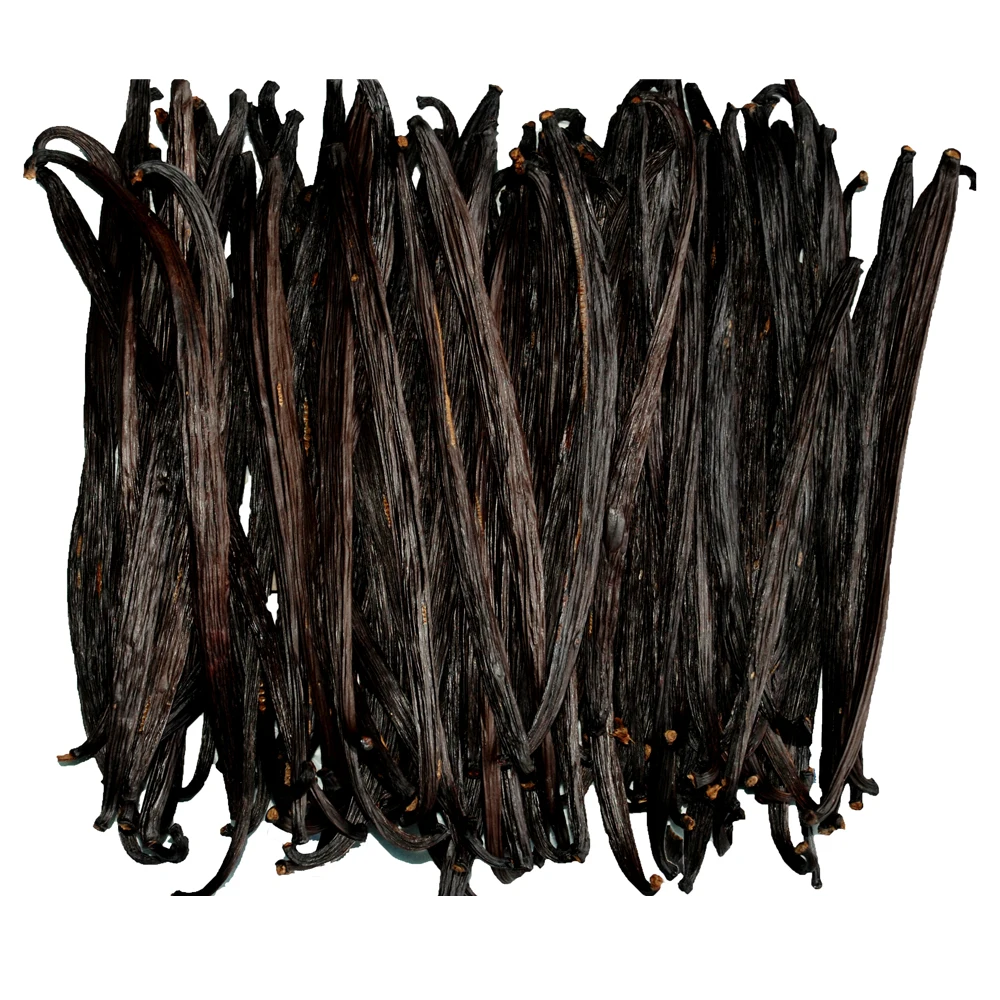 High Quality 14-18cm Grade A Vanilla Beans with Good Price