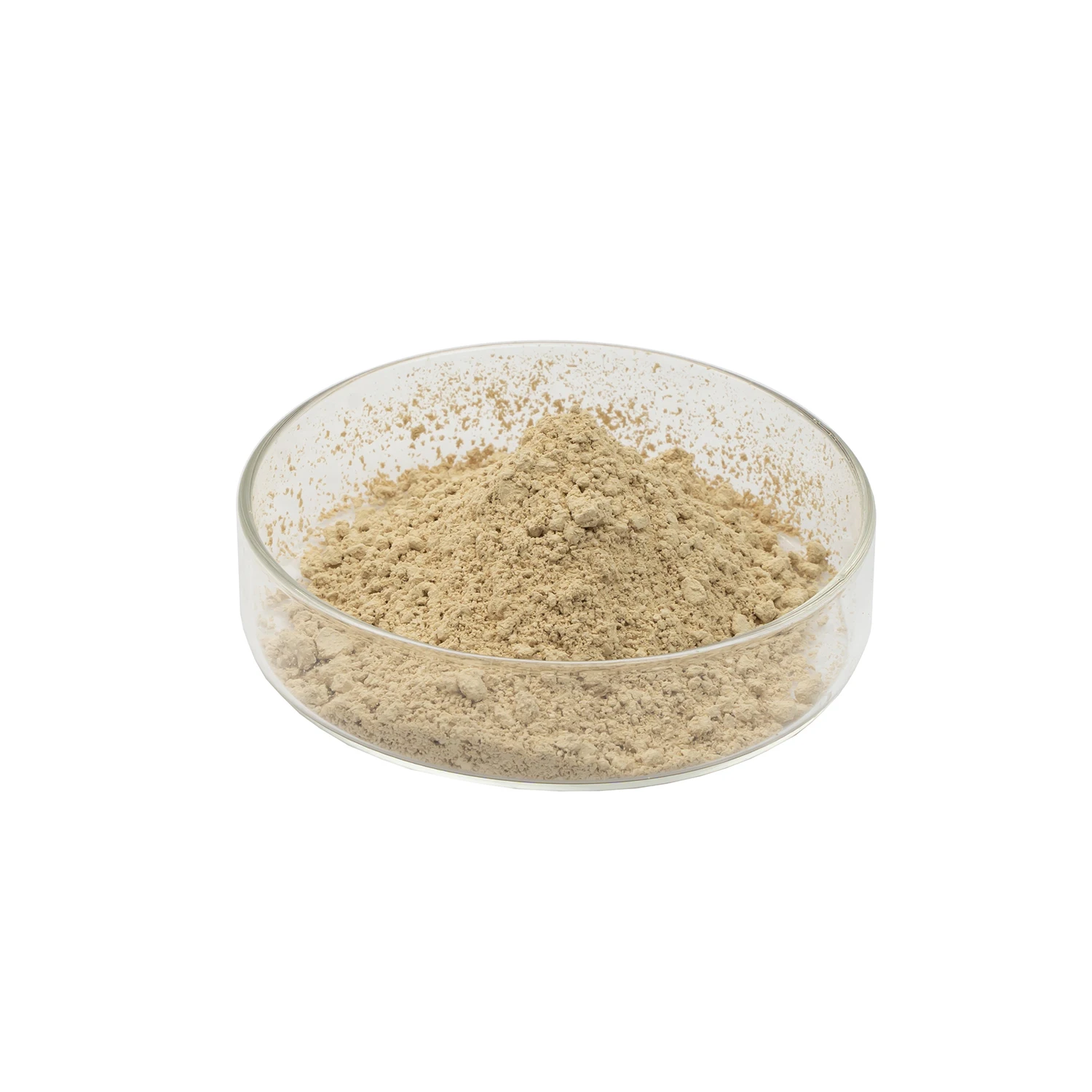 Food Additive 2000ppm Zinc Yeast