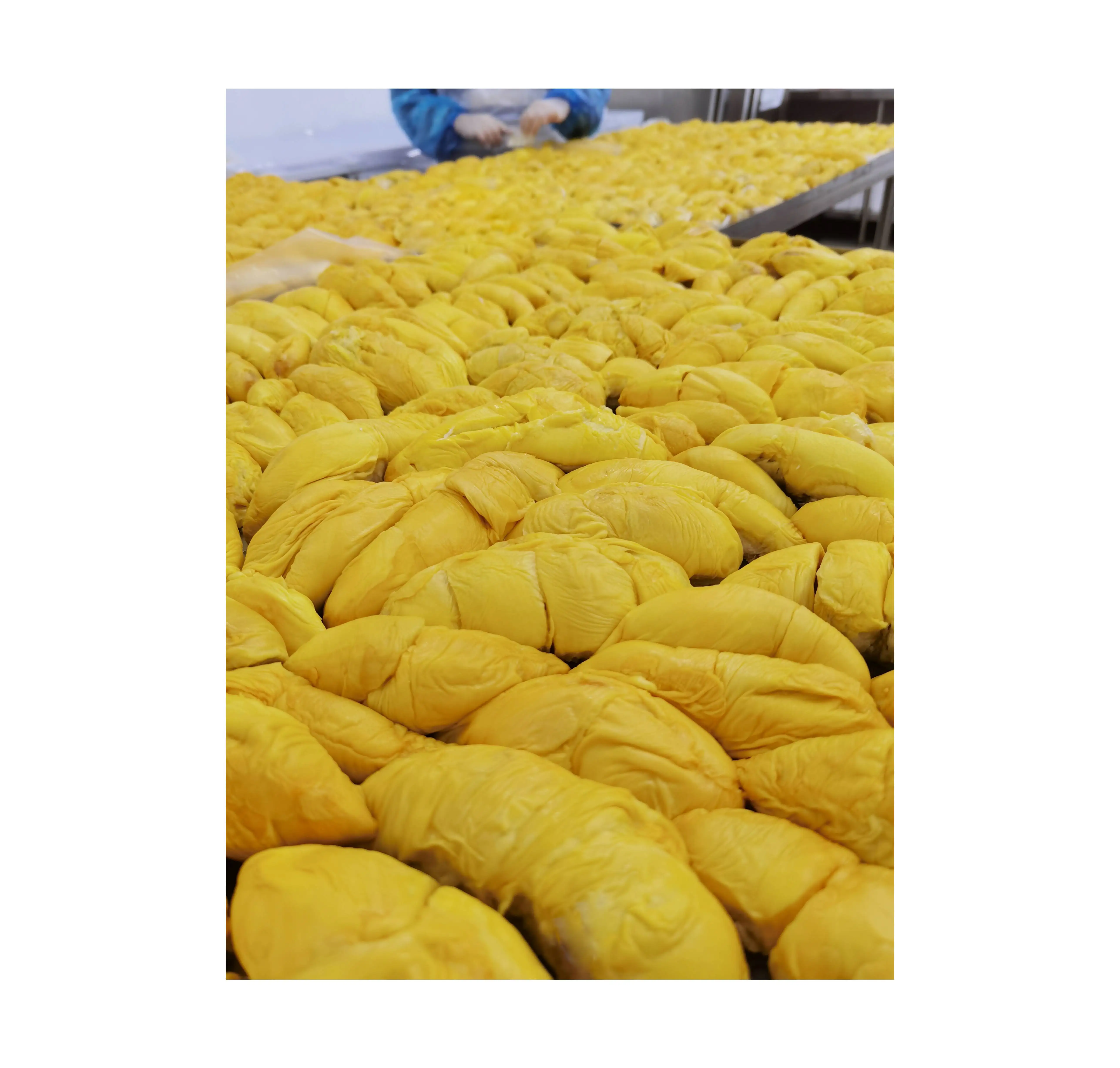 New Arrive Higher Grade Malaysia Old Tree Fresh Frozen Durian Pulp Long Shelf Life In 0.4kg Weight Vacuum Packaging Design