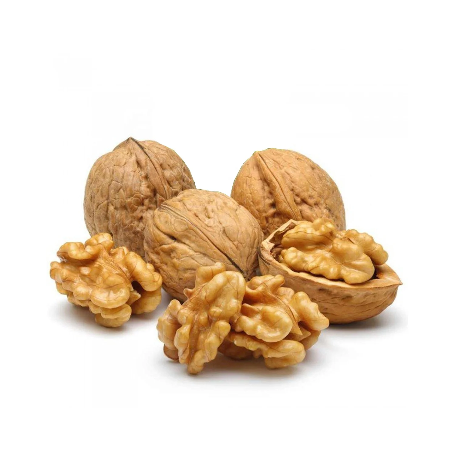 Cheap Price Wholesale Walnuts For Sale In bulk Wholesale Supplier Best Quality Walnuts