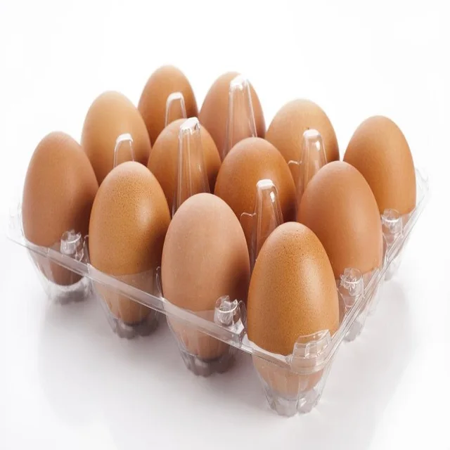 Farm Fresh Chicken Table Eggs Brown and White Shell Chicken Eggs in EU