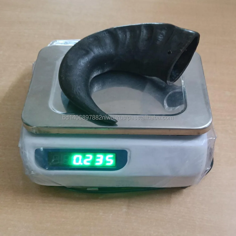 natural Buffalo raw Horn And Horn Tip/ and Quantity Black And natural Color for customized size and horn