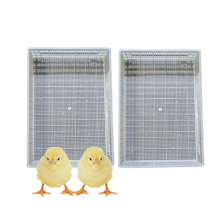Plastic Slat Floor Roll High Quality Secure For Poultry Poultry Equipment Customization Made In Vietnam Manufacturer