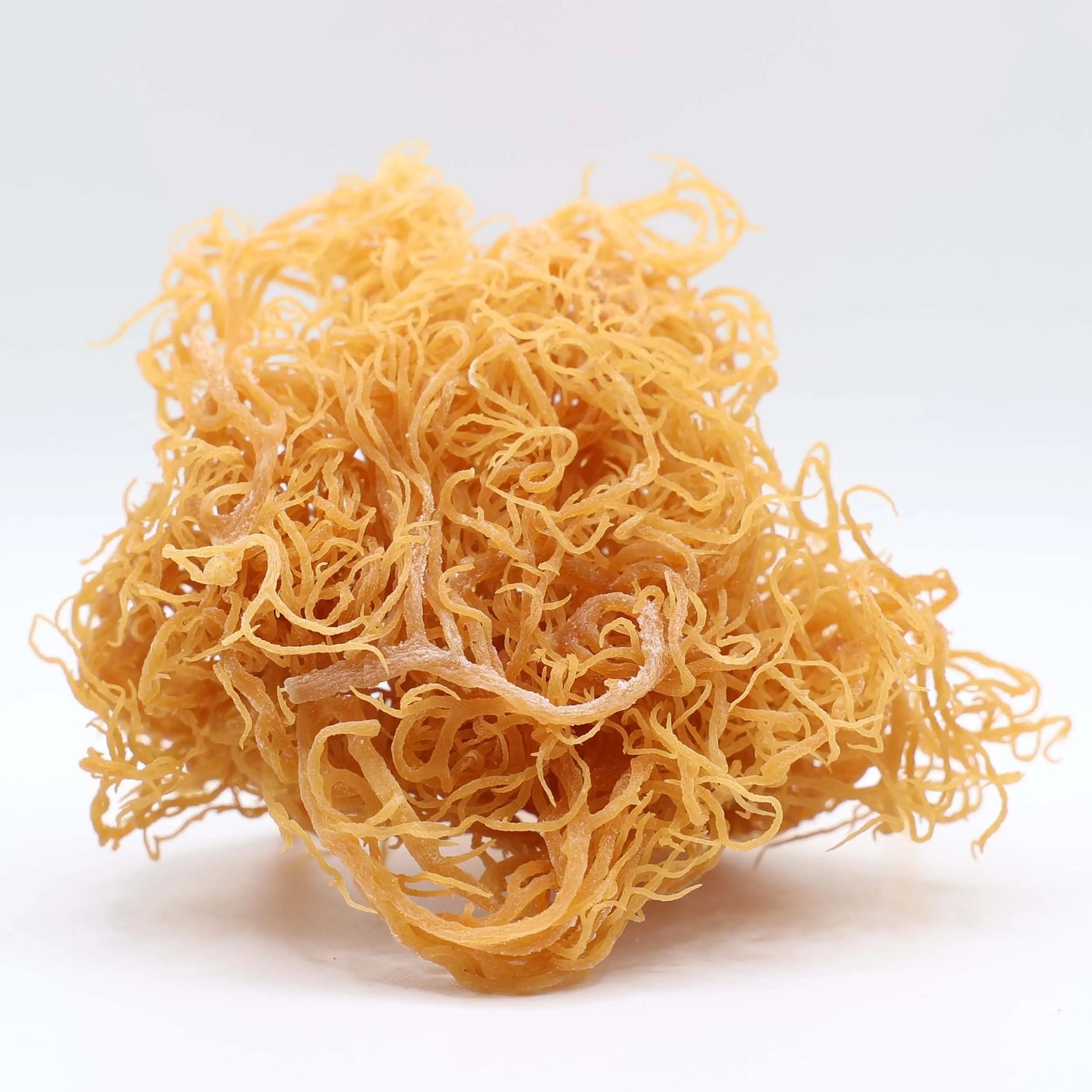 Golden Seamoss Eucheuma Cottonii natural 100% from Vietnam  Ms.Katty