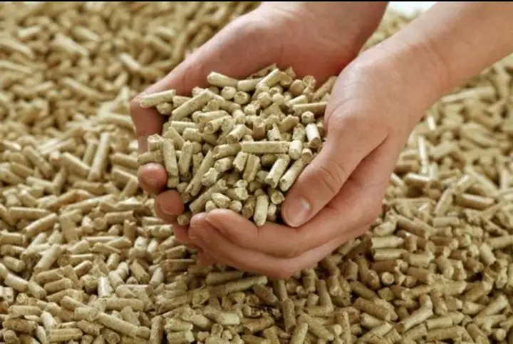 Pellets Wholesale Biomass Wood Pellets  Pine Wood Pellet from Vietnam factory