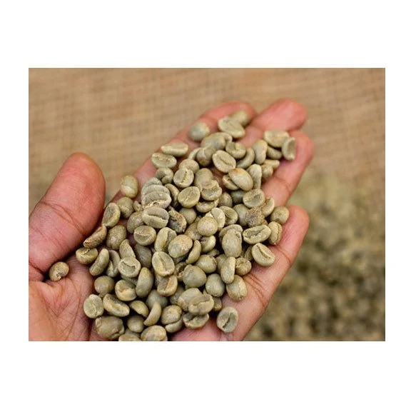 Robusta Coffee Robusta Coffee Price Brazil Washed Process Quality Robusta Green Coffee Beans Raw Beans Wholesale