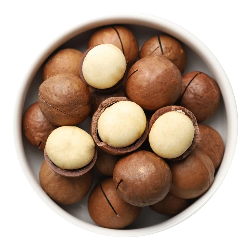 Macadamia Nuts Premium  Style Packaging Raw Origin Human Type Nut High Dried Grade Place Model HACCP Cultivation Common Clsss
