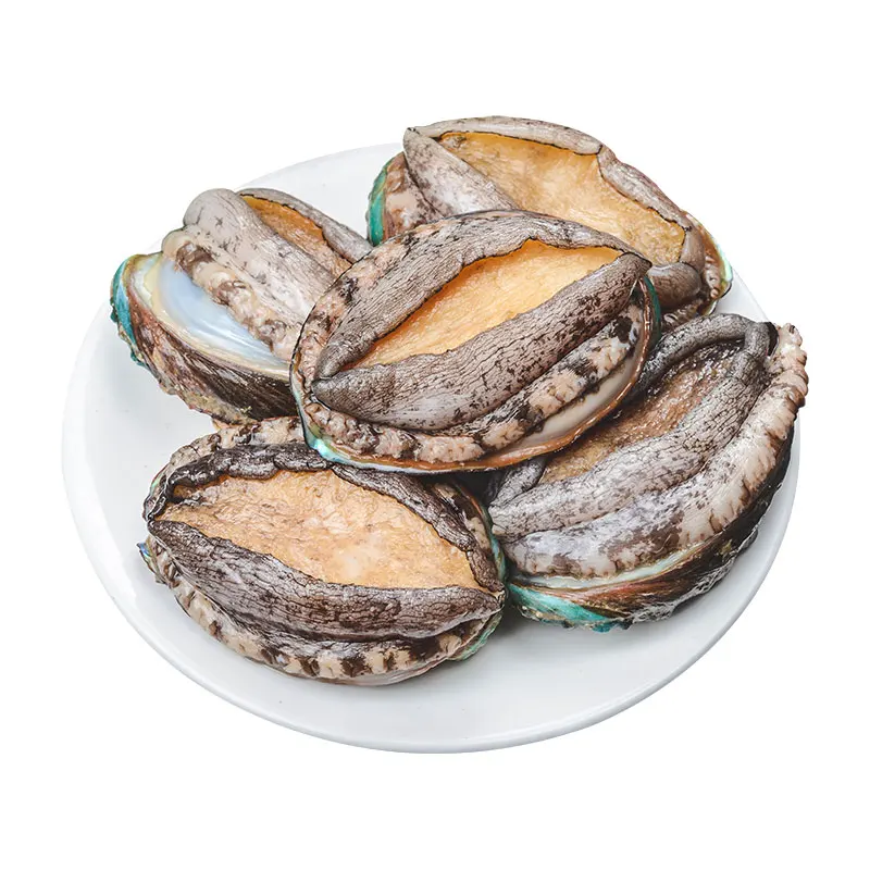 Seafood Dried Frozen Abalone Fresh Abalone Shells