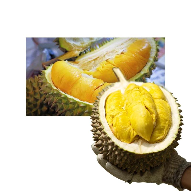 Factory Price Fresh Golden Yellow D24 Durian (Fresh Fruit) Smooth Sweet with A Slightly Bitter Taste