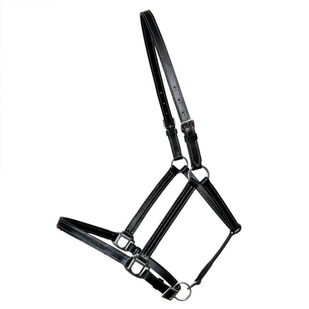 Лучшее качество Западный кожаный хальтер для лошадей индивидуальный дизайн и окраска доступны по доступной цене