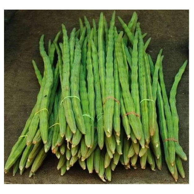 Okra Fresh Lady Finger Gumbo Okra Whole Okra Vegetable Cut in Frozen Vegetables with Good Price High Quality Fresh Drumstick