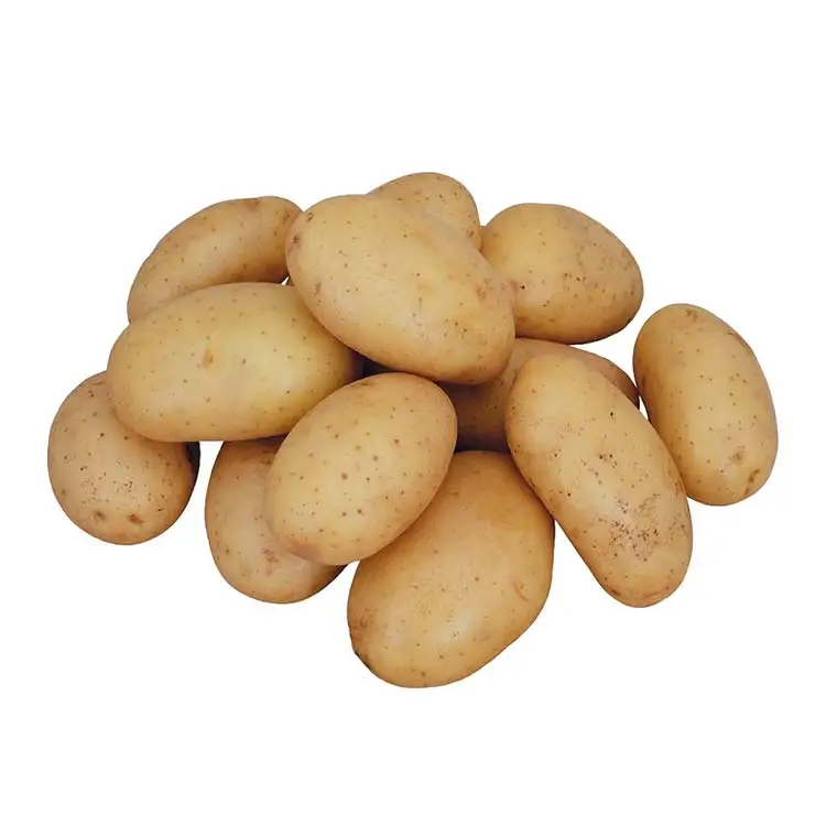 Купите высококачественный 100% органический свежий картофель по низкой