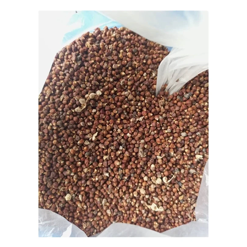 Nigerian Origin Manufacturer Exporting Premium Grade Healthy Natural Taste Alligator Pepper Seed Available at Best Market Price