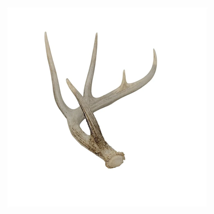Christmas Decoration Resin deer horn Deer Antler Natural Deer Antler for Sale