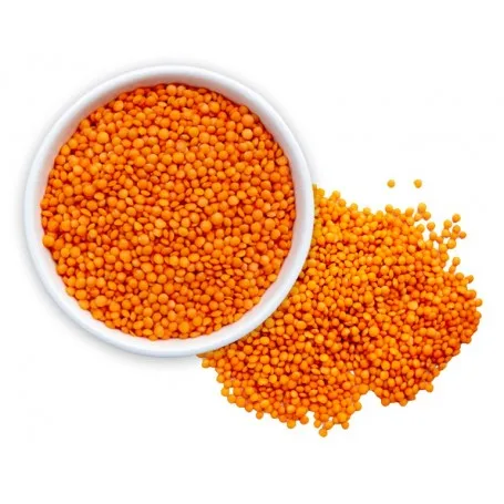 red lentil for Europe