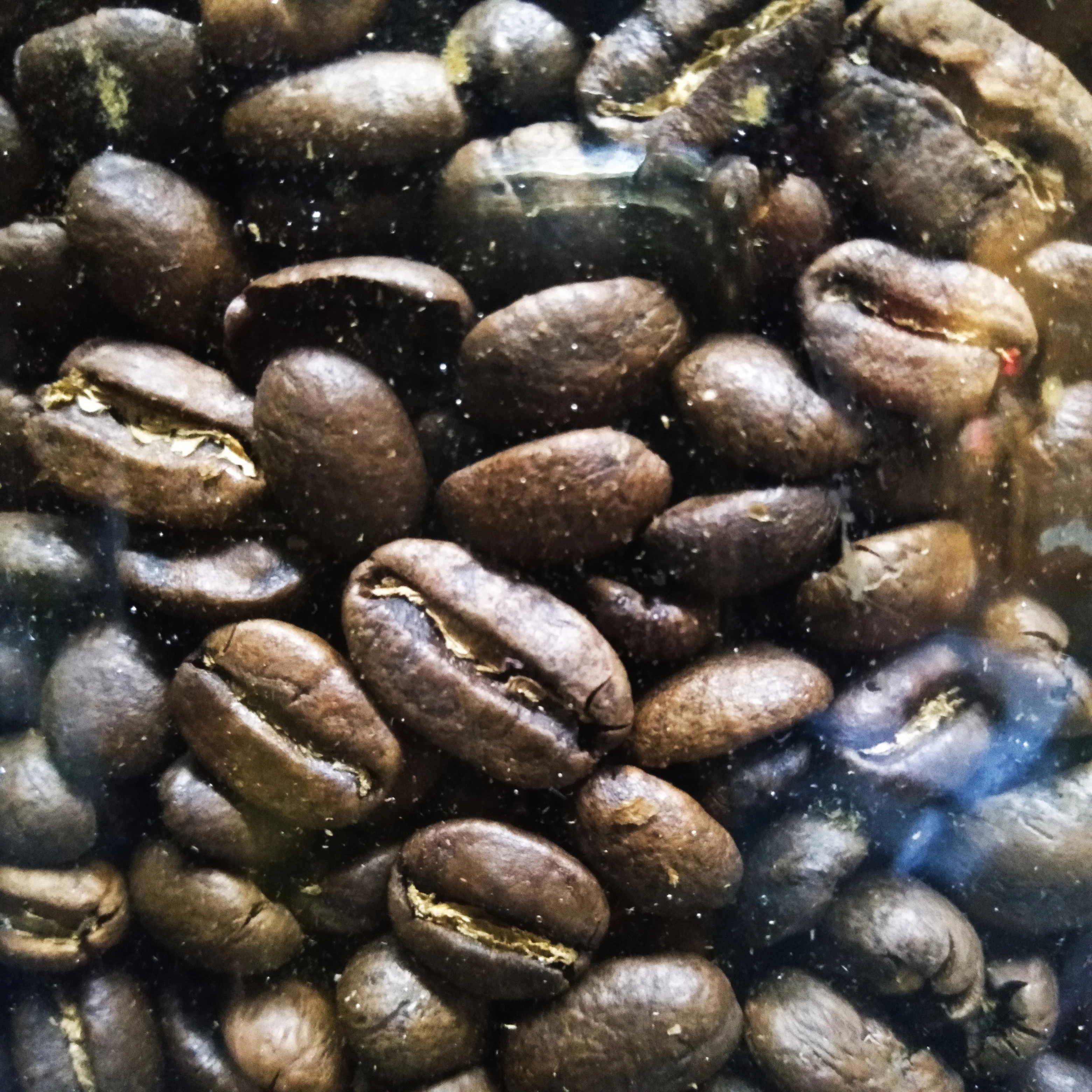 Best Selling 2022 Top Quality Robusta and Arabica Coffee Beans Roasted from Indonesian Coffee Beans roasted by Anoa Coffee