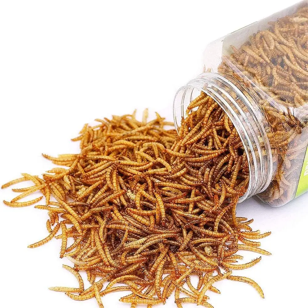 Factory Supply Mealworms Dried For Fish Meal Hamster Food Bird Seed dried mealworm Animal feed