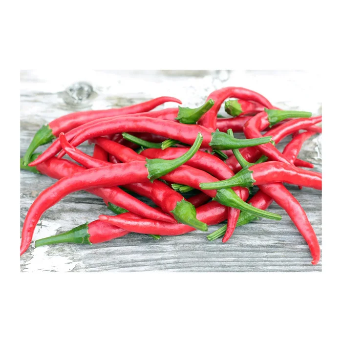Hot Selling Price Of Red Dried Chili Pepper in Bulk