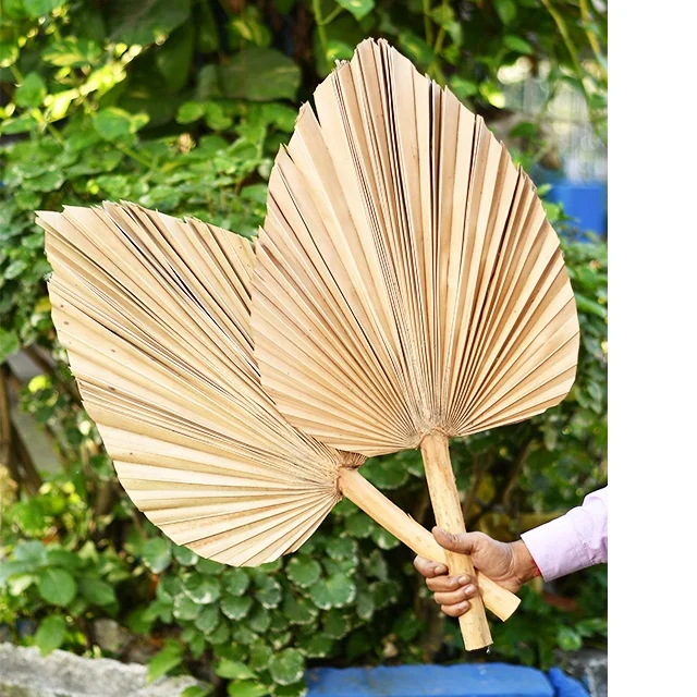 Palm leaves decoration dried color palm leaves for wedding palm spear with different color  and shapes  home decretive product