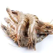 High Quality Tiger Prawns Jumbo Prawns Black Tiger Prawn OEM