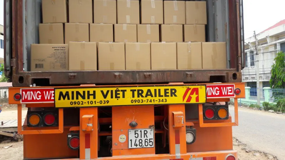 Fresh Red Chilli High Quality green chilli Supplier fresh red chilli pepper From Vietnam