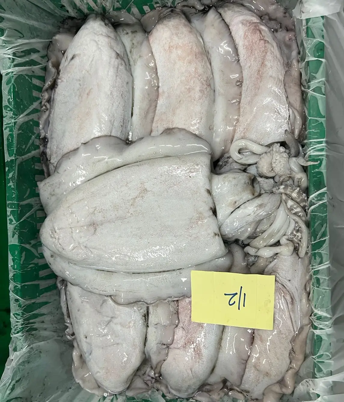 FROZEN CUTTLEFISH GOOD QUALITY OMAN ORIGIN