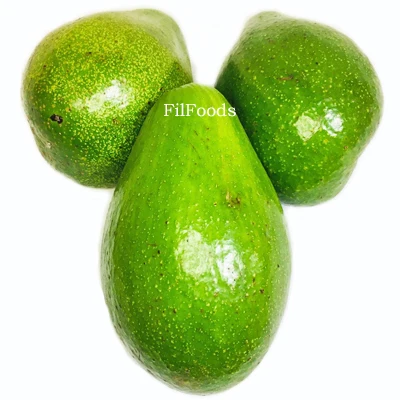 Wholesale Fresh Premium Avocado for sale