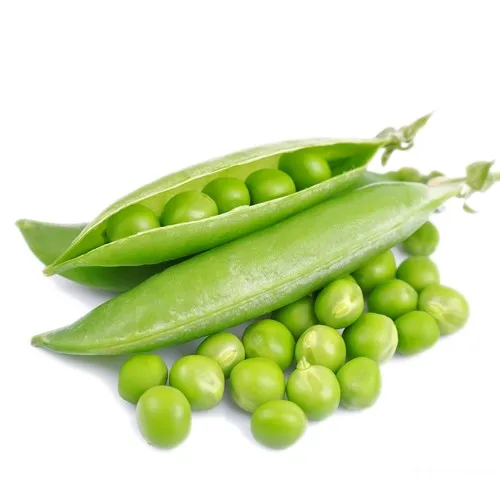 Top Selling Vegetable Green peas From India Exporters