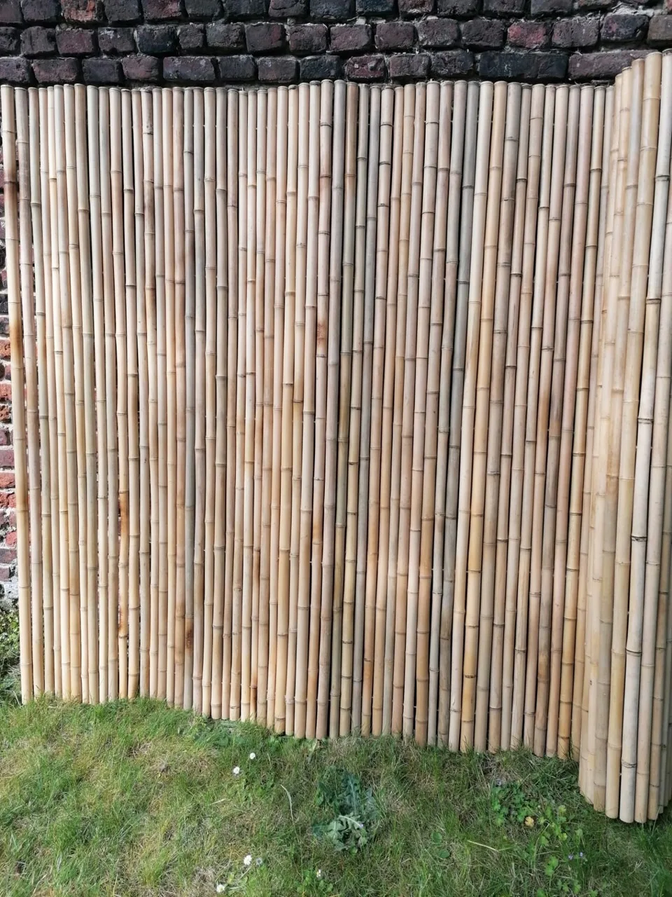 Sustainable and Stylish Bamboo Fences Perfect for Adding Privacy and a Natural Touch to Your Landscape