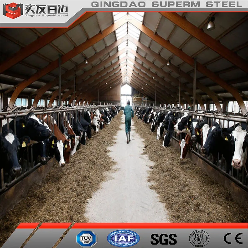 Live Cattle Dairy Farm Shed 1000 Sq Ft Animal Sheds 10000 Sq Ft Animal Goat Shed At Wholesale Rate