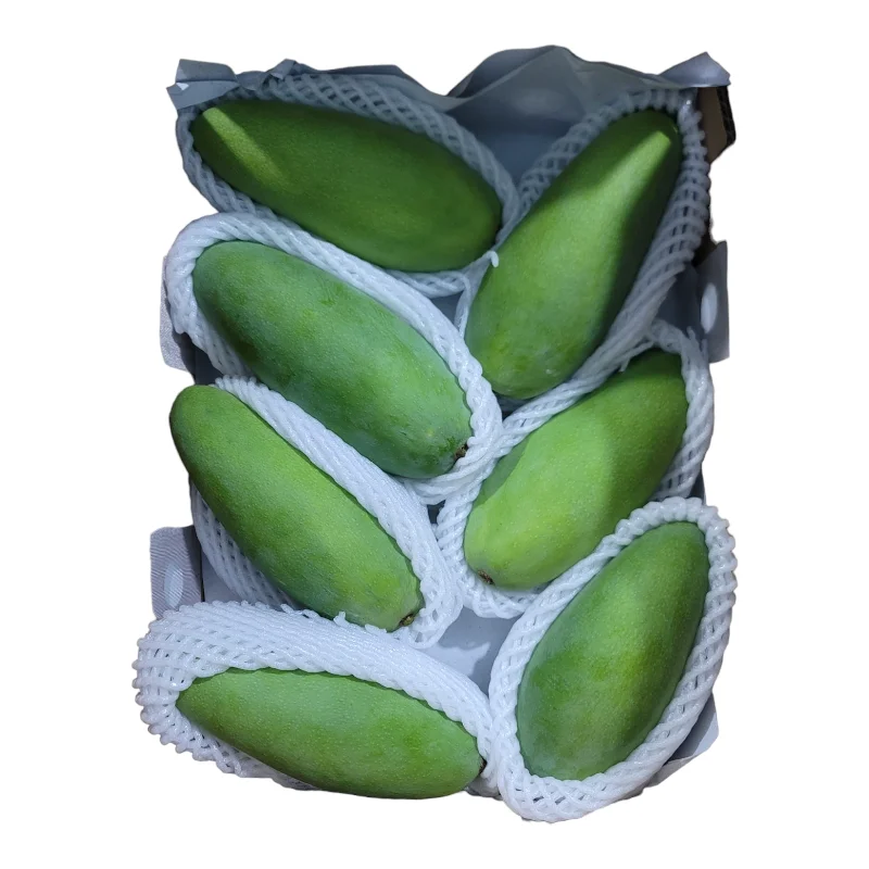 Premium Fresh Mango product