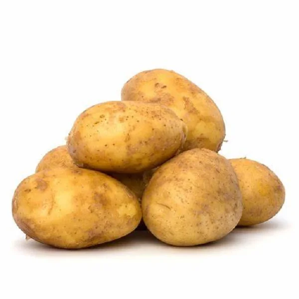 100% Matured Holland Potato Fresh Potato Price for Sale