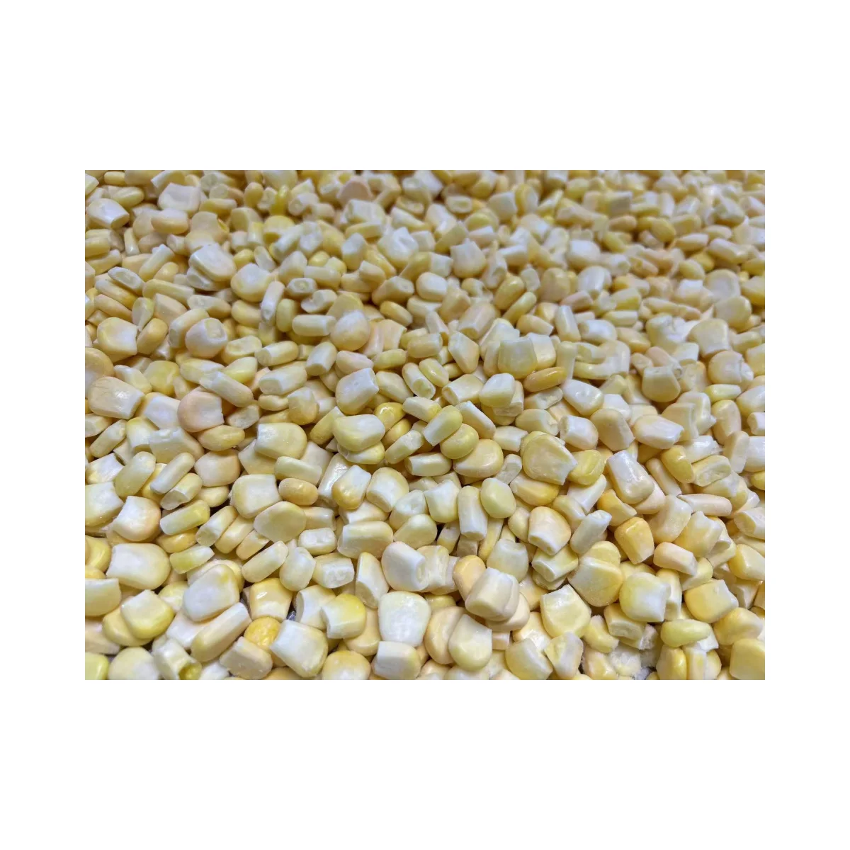 factory direct selling Yellow bulk sweet corn iqf  kernel corn