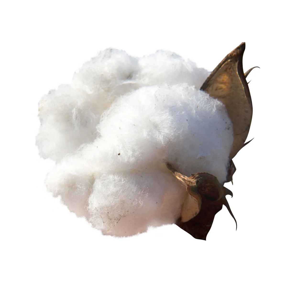 Quality rolled cotton pulp cellulose for sale in bulk worldwide shipping cellulose fiber