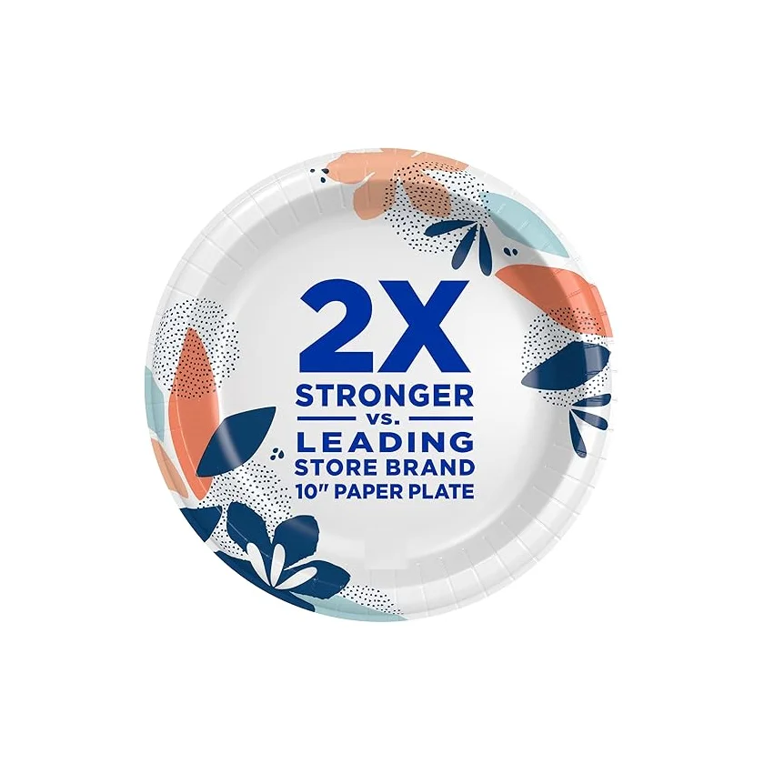 Eco-friendly Disposable 10 Inch Paper Plates Ideal for Parties Picnics and Catering 300 GSM SBS Virgin Board Plates for Sale