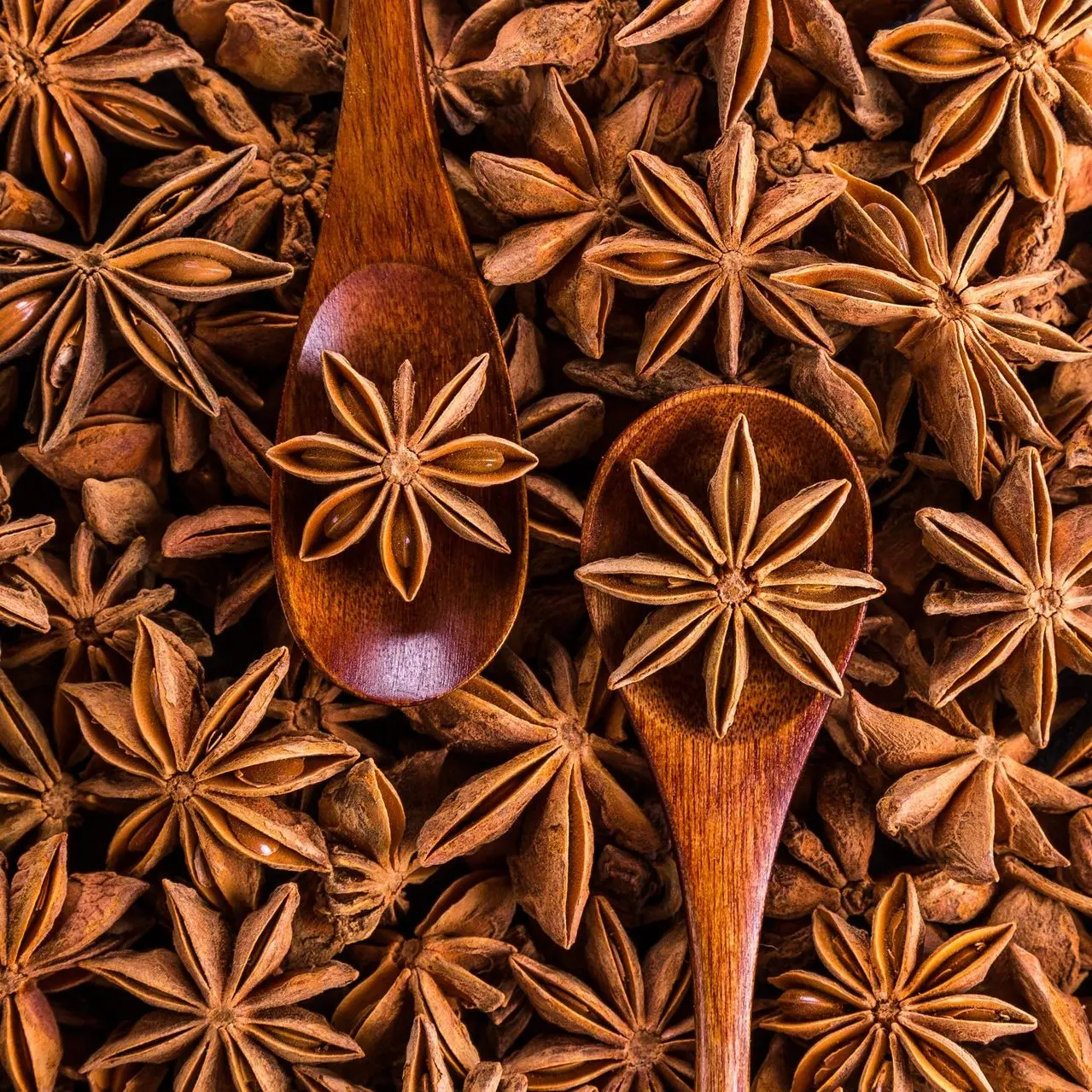 Star Anise 100% Organic High Quality The Best Choice Of High Quality Vietnamese Dried Flower Star Anise For Cooking