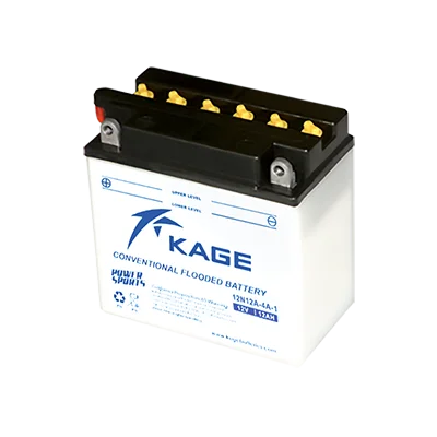 12N24-4A Motorcycle Battery 12V 24Ah Fully Automatic Trickle Battery Charger/Maintainer for Motorcycle